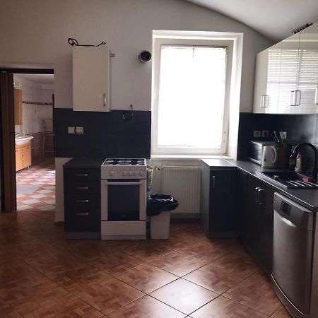Dvacitka Apartment Ceske Budejovice Ngoại thất bức ảnh